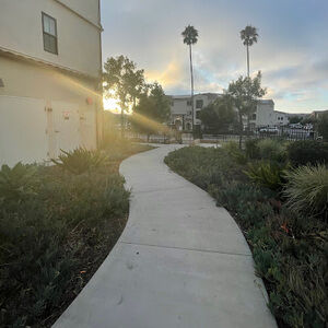 Meet your Posher, Aaliyah